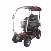 Mobility Scooter 2 Plazas en alquiler